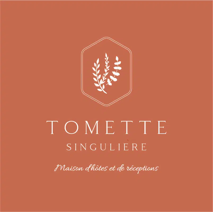 tomette-singuliere-logo